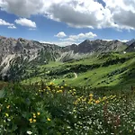 Jungbrunn Der Gutzeitort Tannheim