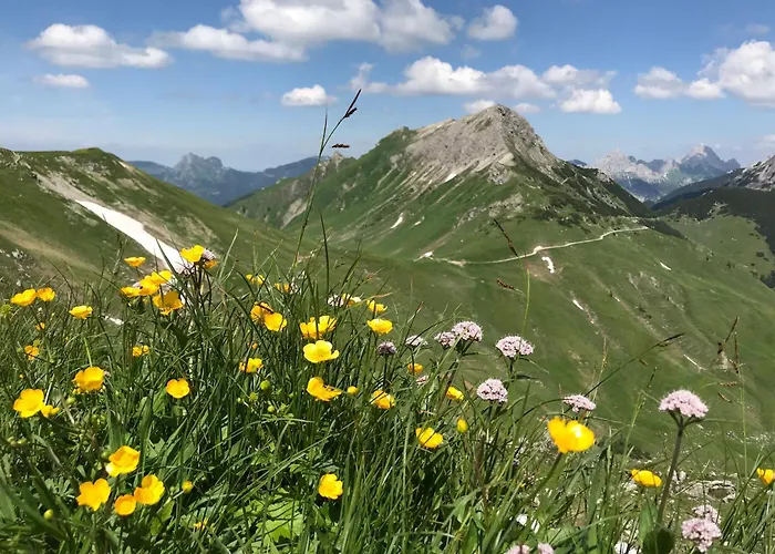 Jungbrunn Der Gutzeitort ホテル *