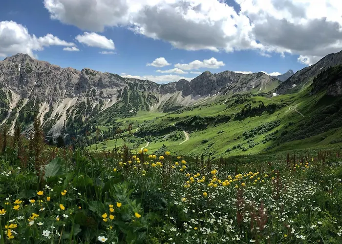Jungbrunn Der Gutzeitort タンハイム